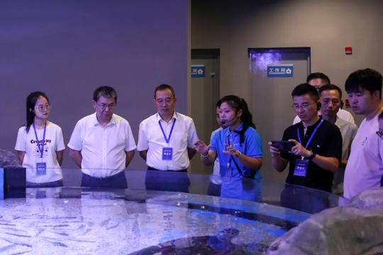 图片 9.png 图片 9.png